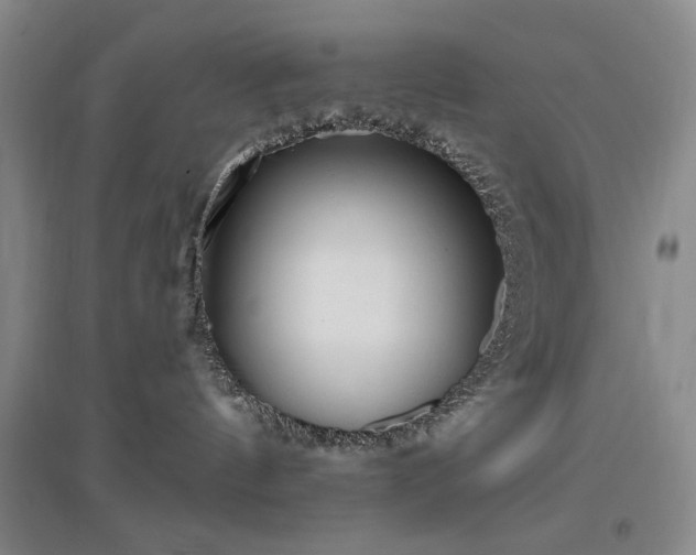 X0000097490144200802221424