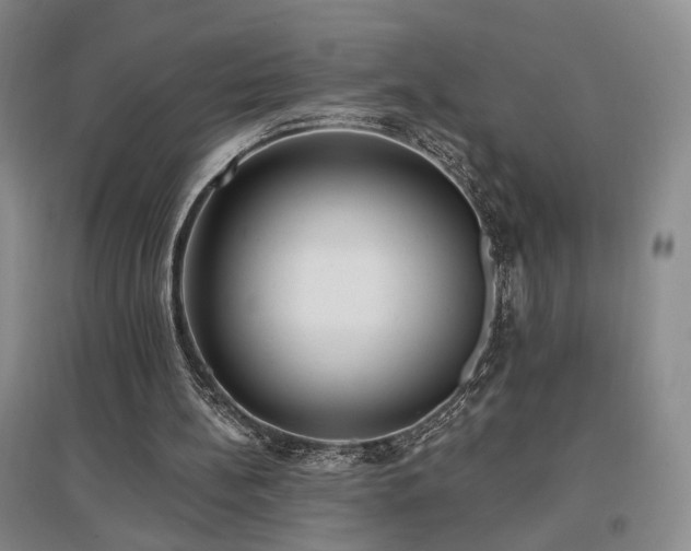 X0000097490148200802221423