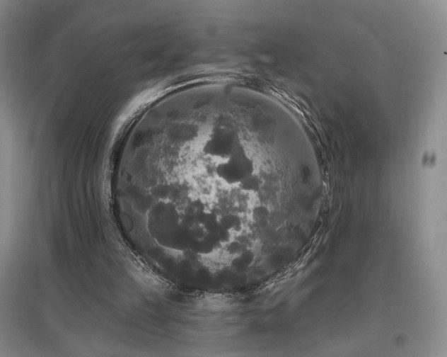 X0000097490149200802221423