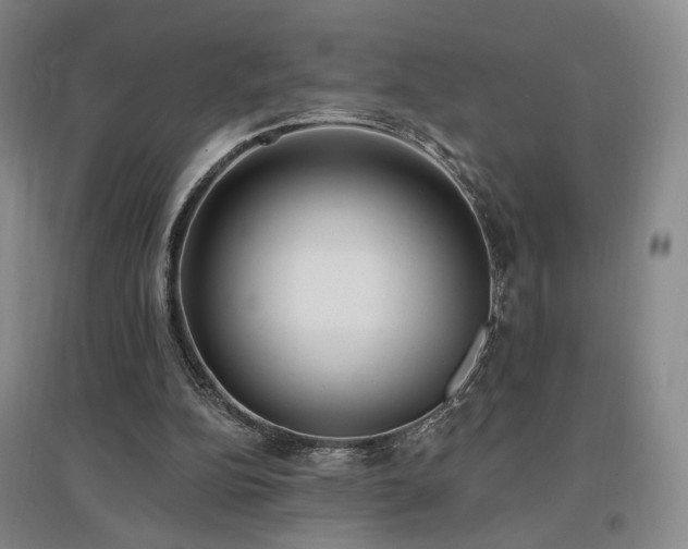 X0000097490152200802221423