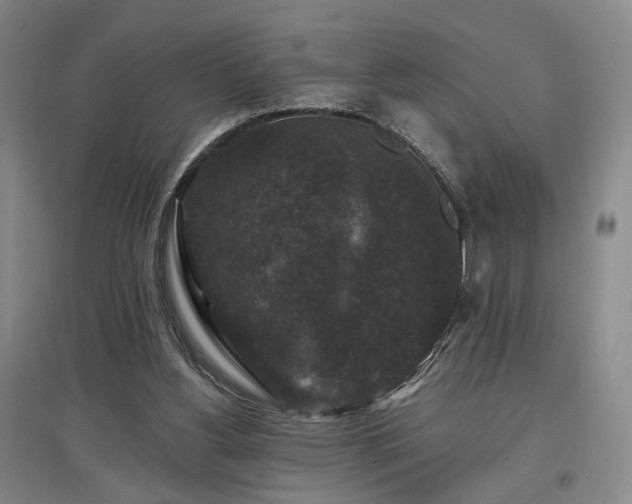 X0000097490156200802221423