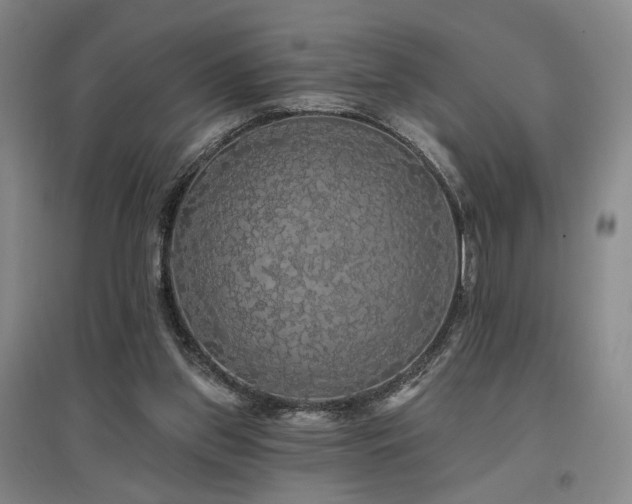 X0000097490157200802221423