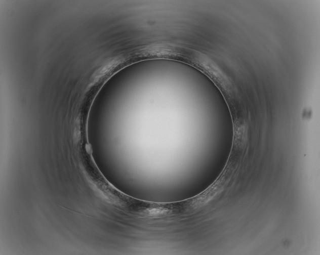 X0000097490158200802221423