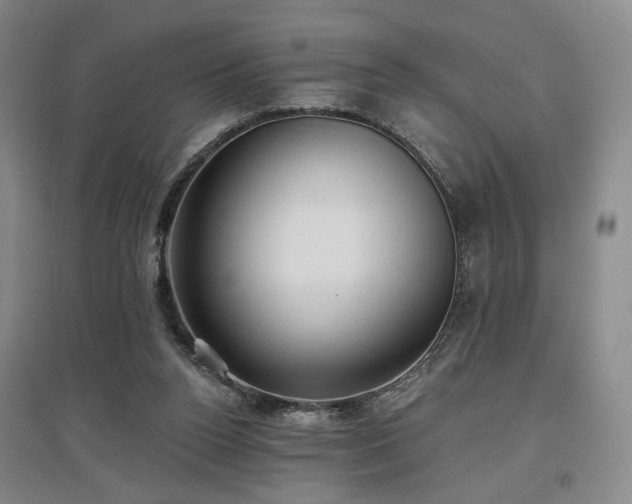 X0000097490160200802221423