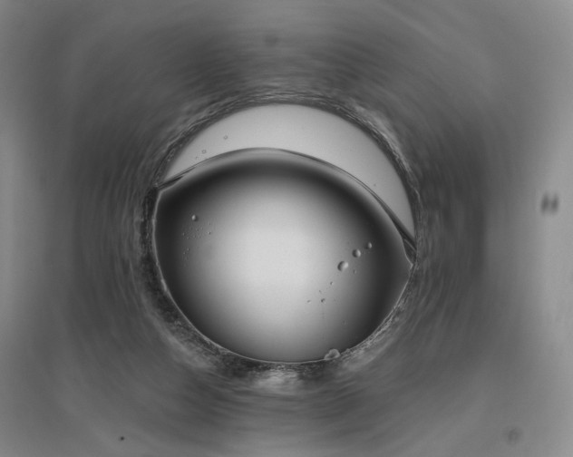 X0000097490162200802221423