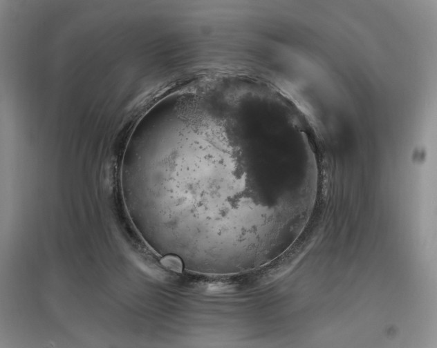 X0000097490165200802221423