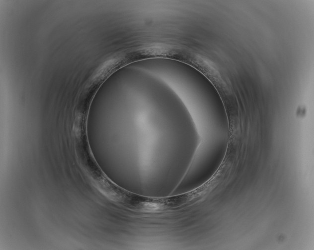 X0000097490167200802221423