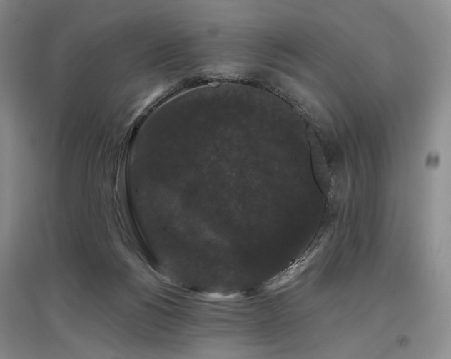 X0000097490168200802221423