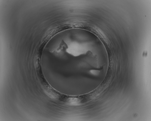 X0000097490169200802221423