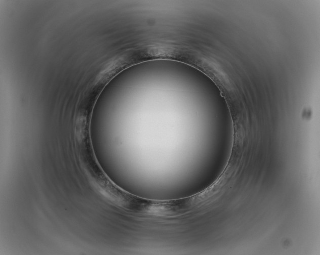 X0000097490171200802221423