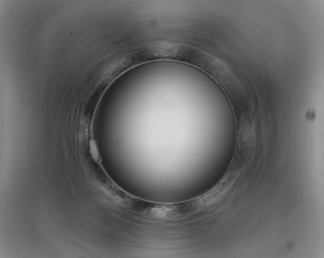 X0000097490172200802221423