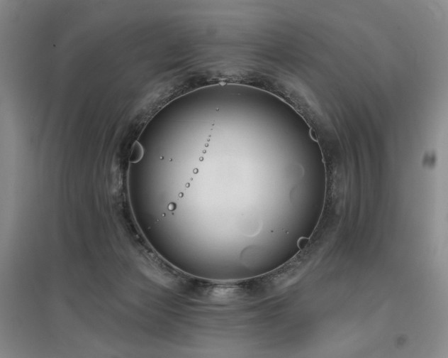 X0000097490173200802221423