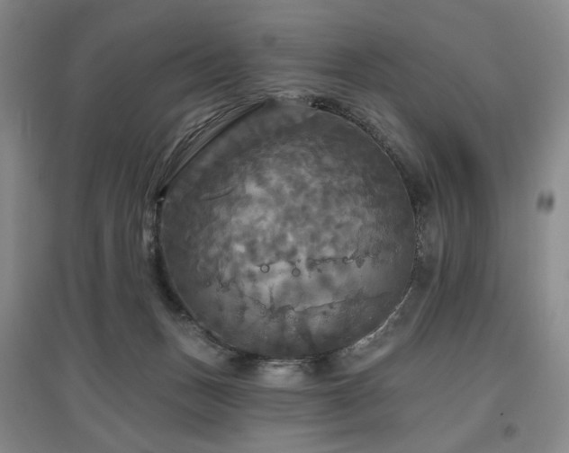 X0000097490175200802221423