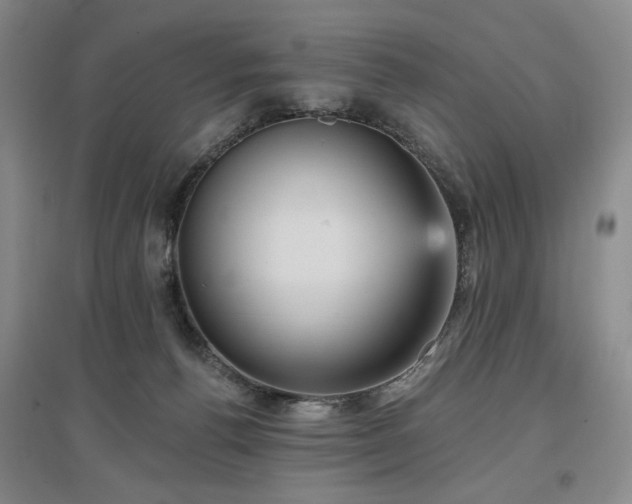 X0000097490176200802221423