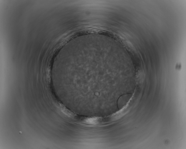 X0000097490178200802221423