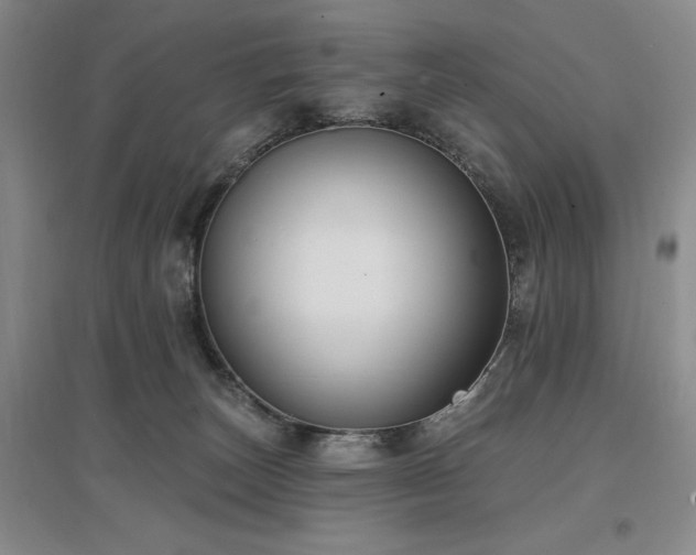 X0000097490179200802221423