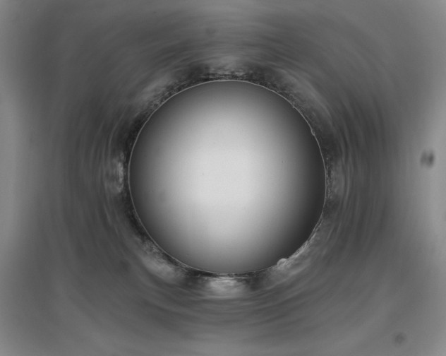 X0000097490183200802221423