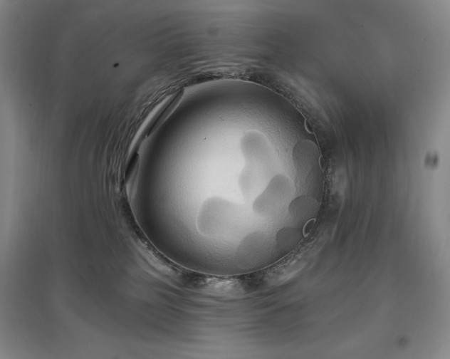 X0000097490185200802221423