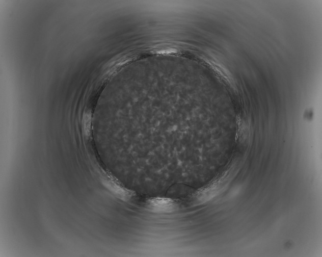 X0000097490189200802221423