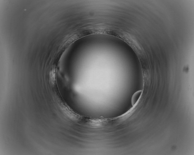 X0000097490190200802221424