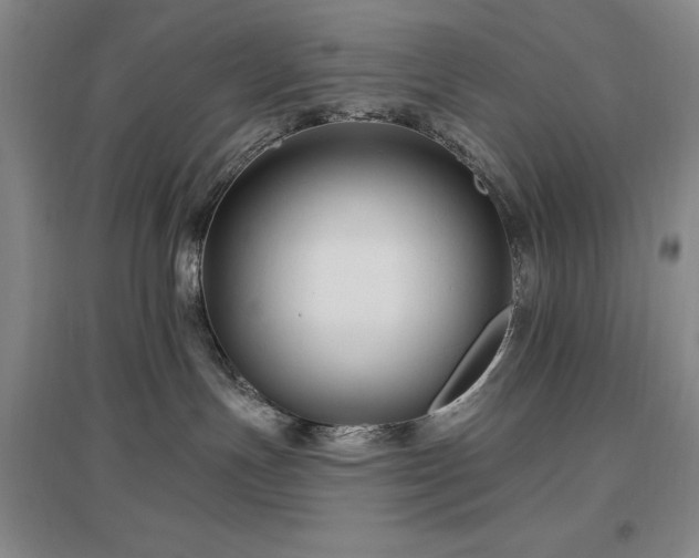 X0000097490191200802221424