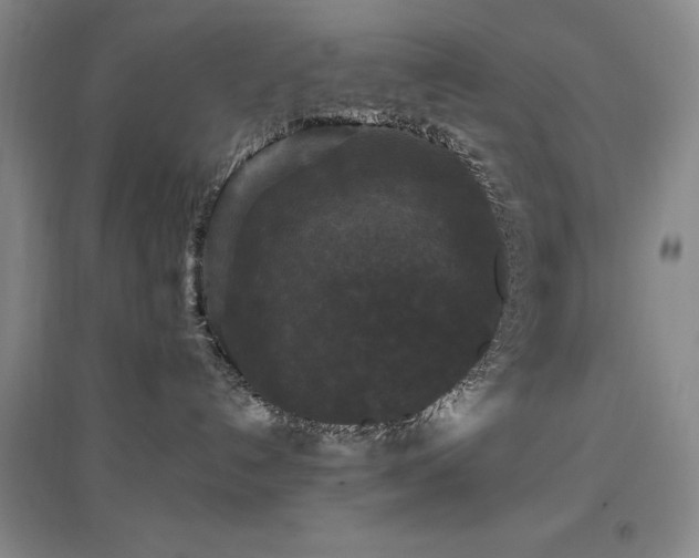 X0000097490192200802221424