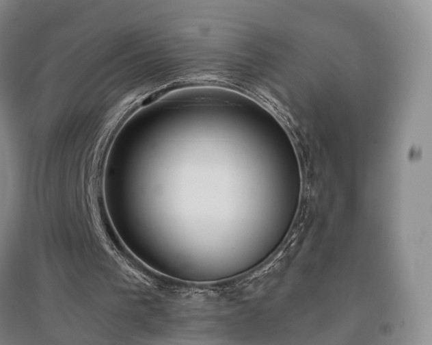 X0000097490193200802221423