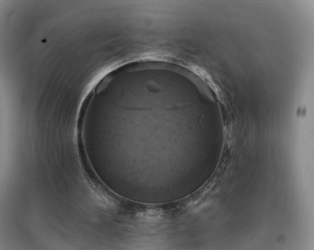 X0000097490196200802221423