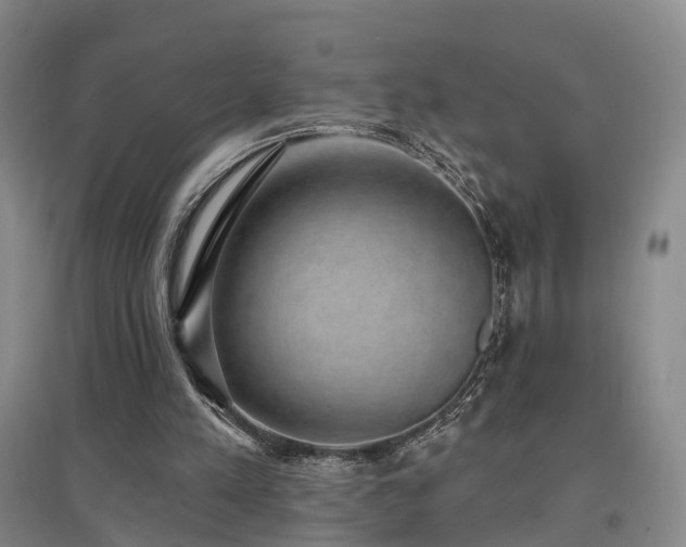 X0000097490197200802221423