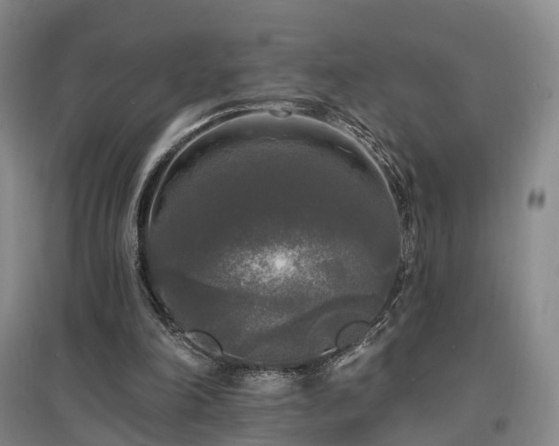 X0000097490198200802221423