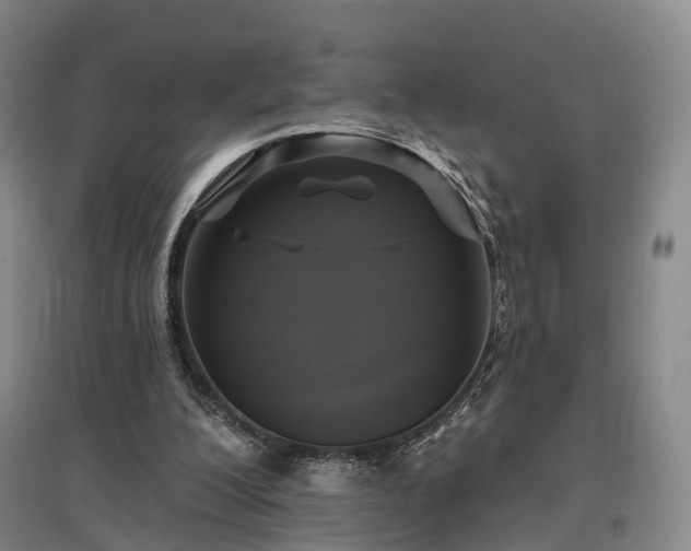 X0000097490200200802221423