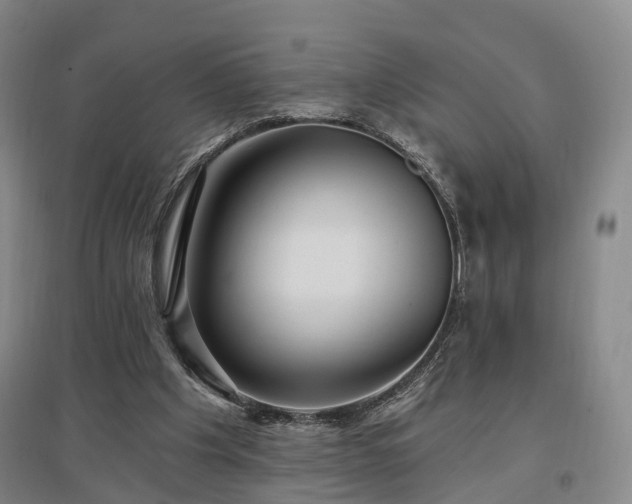 X0000097490201200802221423