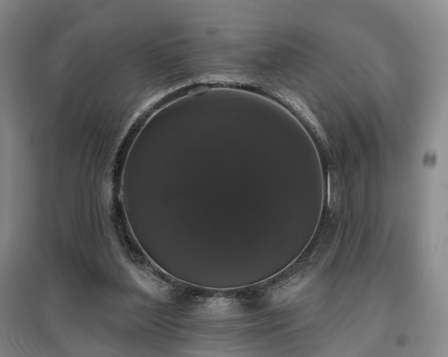 X0000097490204200802221423