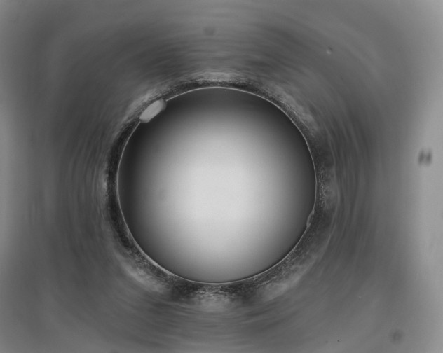 X0000097490207200802221423