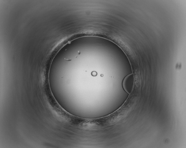 X0000097490208200802221422