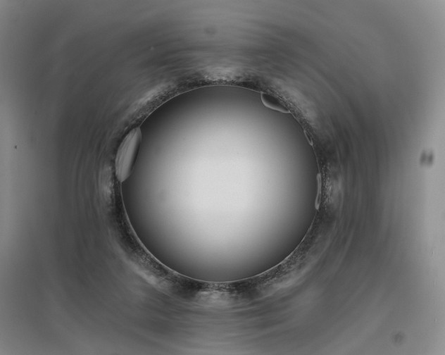 X0000097490211200802221422