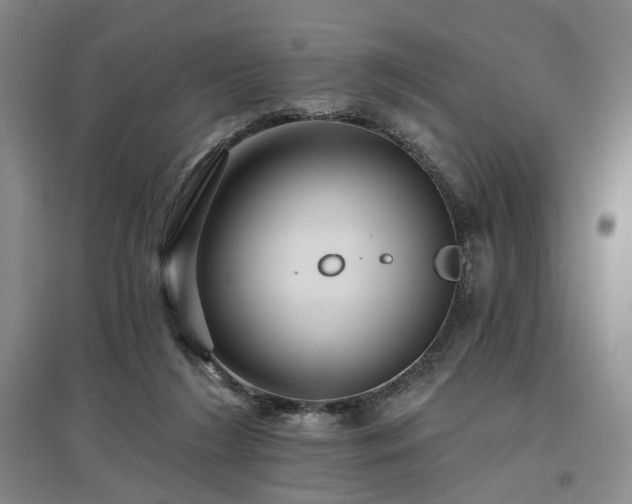 X0000097490212200802221422