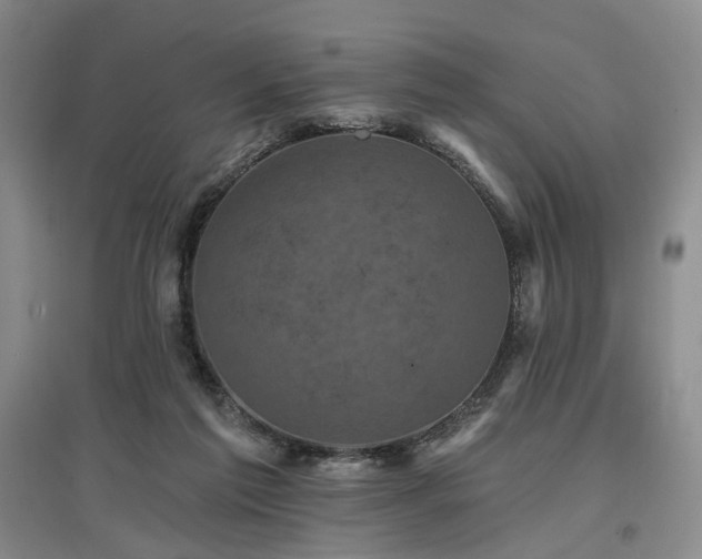 X0000097490213200802221422