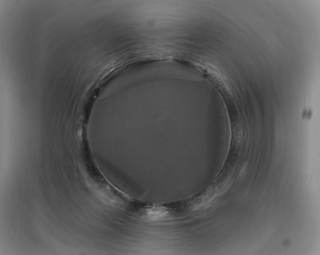 X0000097490214200802221422