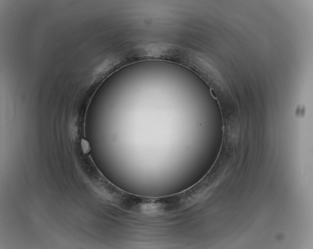 X0000097490216200802221422