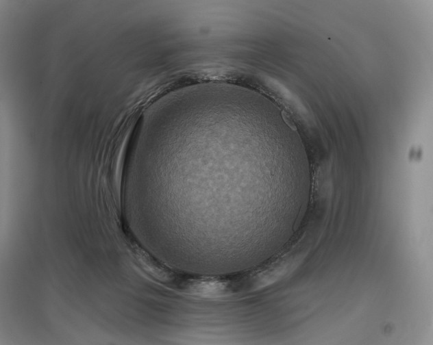 X0000097490217200802221422