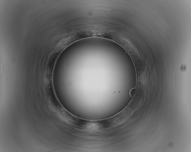 X0000097490218200802221422