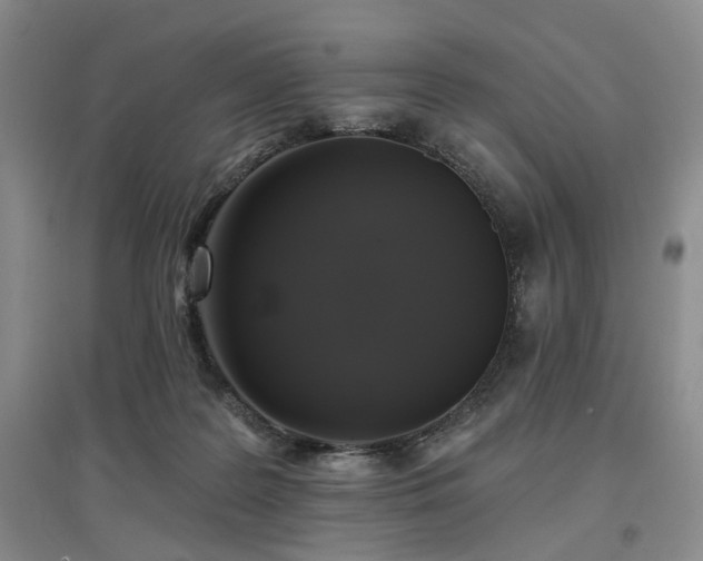 X0000097490219200802221422