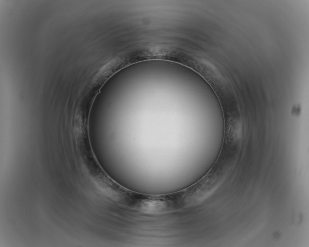 X0000097490220200802221422