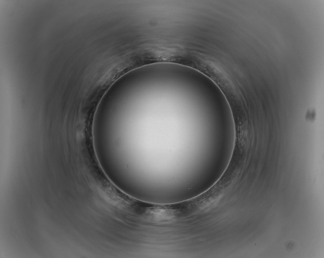 X0000097490221200802221422