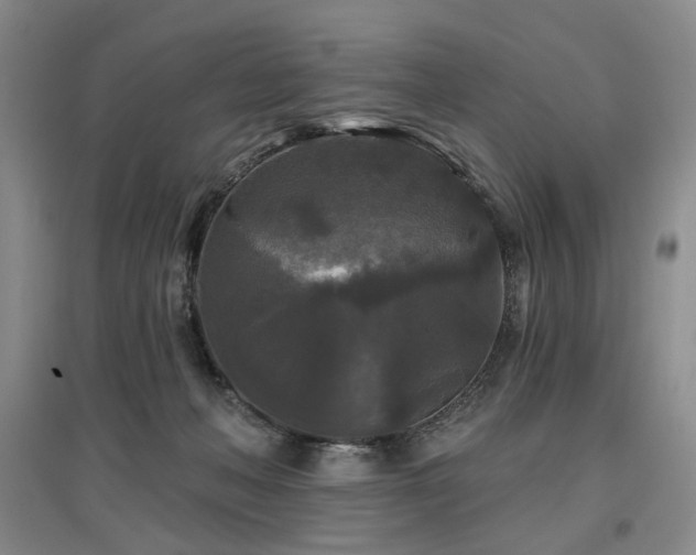 X0000097490222200802221422