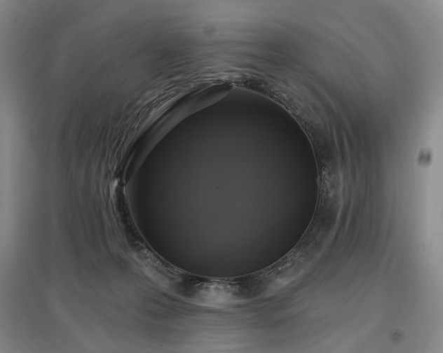 X0000097490223200802221422