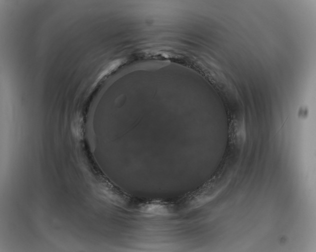 X0000097490224200802221422