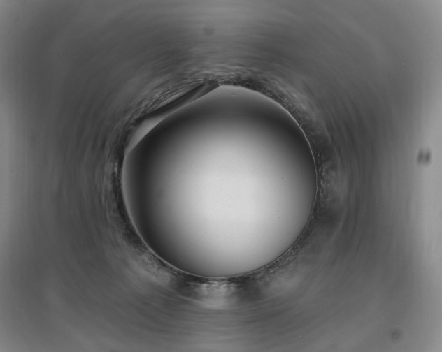 X0000097490225200802221422