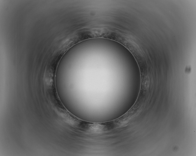 X0000097490226200802221422